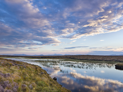 Evening Reflections In A Lochan On The Peaty Moreland Of Lewis, With The Mountains Of Harris, Isle by Lizzie Shepherd Pricing Limited Edition Print image