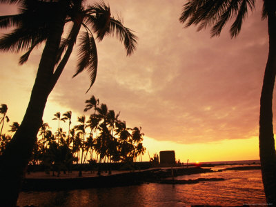 Palm Trees Over The Sacred Bay On The South Kona Coast, Puuhonua O Honaunau Nat. Park, Hawaii, Usa by Ann Cecil Pricing Limited Edition Print image