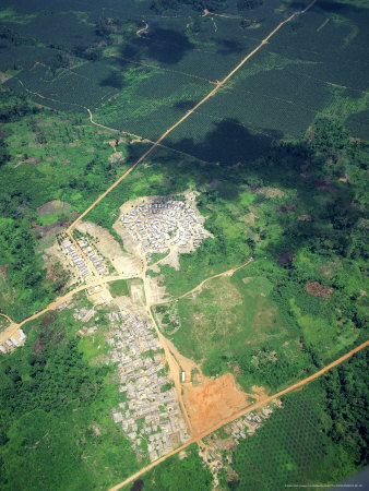 Settlements At Edge Of Rainforest, West Africa by Michael Richards Pricing Limited Edition Print image