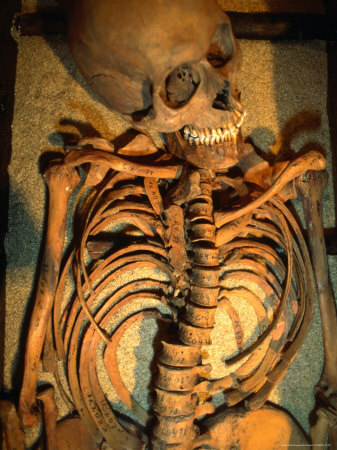 Skeleton Displayed In Moesgaard Museum, Copenhagen, Denmark by Jon Davison Pricing Limited Edition Print image