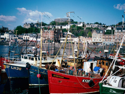 Looking Across Oban Harbour Toward Mccaig's Tower, Oban, United Kingdom by Cornwallis Graeme Pricing Limited Edition Print image