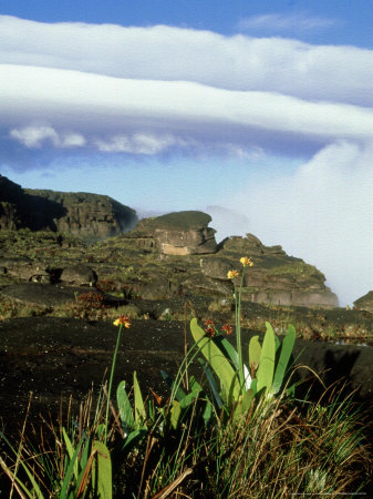 Canaima National Park, Venezuela by Patricio Robles Gil Pricing Limited Edition Print image