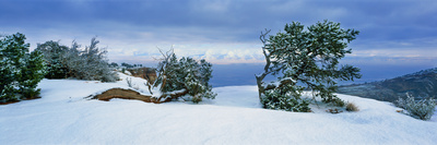 Bookcliffs In Snow, Colorado National Monument, Colorado, Usa by Robert Kurtzman Pricing Limited Edition Print image