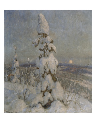 Snow Covered Spruce In Moonlight (Oil On Canvas) by Thorolf Holmboe Pricing Limited Edition Print image