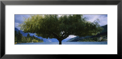Lake Wakatipu, Queenstown, Otago Region, South Island, New Zealand by Panoramic Images Pricing Limited Edition Print image