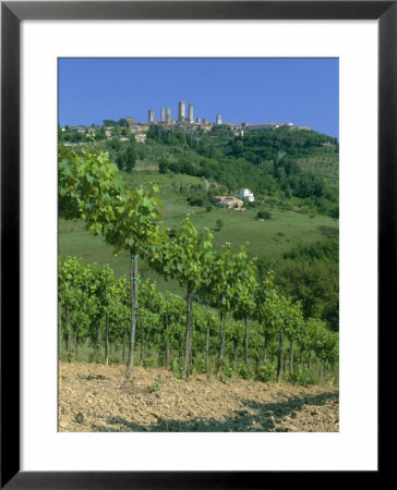 Vineyards Below The Town Of San Gimignano, Tuscany, Italy, Europe by Gavin Hellier Pricing Limited Edition Print image