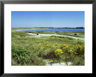 East Head, West Sussex, Uk by Ian West Pricing Limited Edition Print image