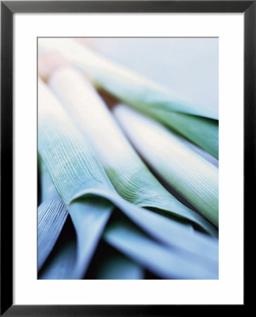 Leek Stalks by Steve Baxter Pricing Limited Edition Print image