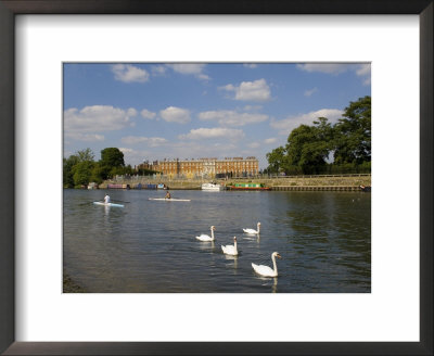 Swans And Sculls On The River Thames, Hampton Court, Greater London, England, United Kingdom by Charles Bowman Pricing Limited Edition Print image