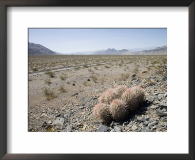 Death Valley National Park, California, Usa by Angelo Cavalli Pricing Limited Edition Print image