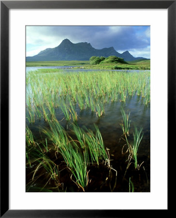 Ben Loyal From Lochan Hakel, Sutherland by Iain Sarjeant Pricing Limited Edition Print image