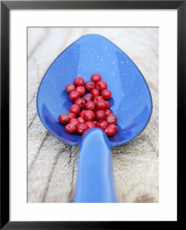Pink Pepper In Blue Spoon by Frank Tschakert Pricing Limited Edition Print image