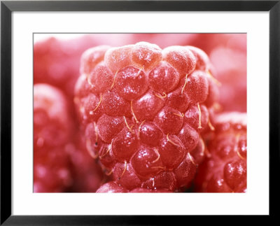 Raspberries by Ruth Brown Pricing Limited Edition Print image