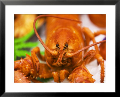 Cooked Lobster by Christopher Leggett Pricing Limited Edition Print image