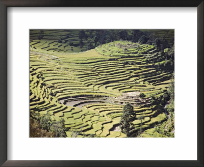 Terraced Fields As Seen In Winter From Nagarkot, Himalayas, Kathmandu Valley, Nepal by Don Smith Pricing Limited Edition Print image
