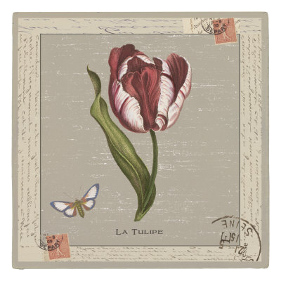 La Tulipe by Sophia Davidson Pricing Limited Edition Print image