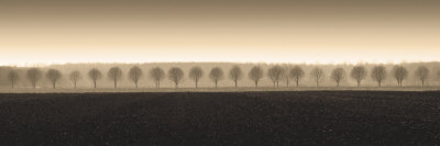 Dappled Morning Fields by Heather Ross Pricing Limited Edition Print image
