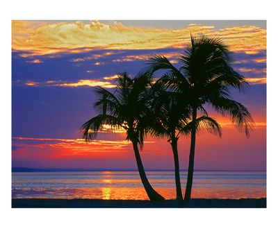Colorful Sunset Over Sombrero Beach In The Florida Keys by George Mccarthy Pricing Limited Edition Print image
