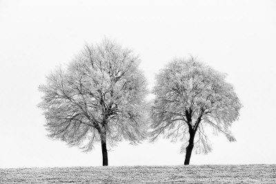First Snow by Ilona Wellmann Pricing Limited Edition Print image