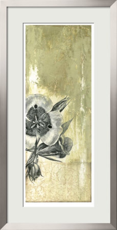 Celadon In Bloom Iii by Jennifer Goldberger Pricing Limited Edition Print image