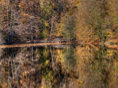 Bridge In Autumn Colours by Nejdet Duzen Pricing Limited Edition Print image