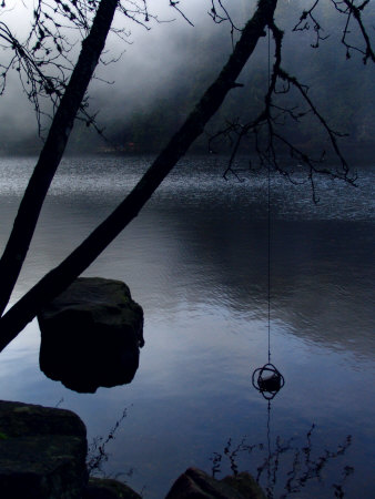 Mysterious Lake Scene by Ilona Wellmann Pricing Limited Edition Print image