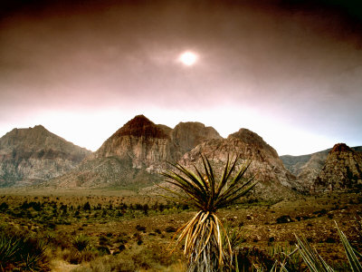 Mojave Desert, Las Vegas, Nevada by Images Monsoon Pricing Limited Edition Print image