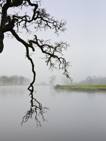 Foggy Landscape by Images Monsoon Pricing Limited Edition Print image
