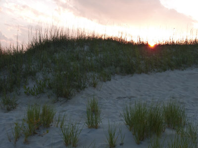 Sun Sets Behind Grassy Sand Dunes by Stacy Gold Pricing Limited Edition Print image