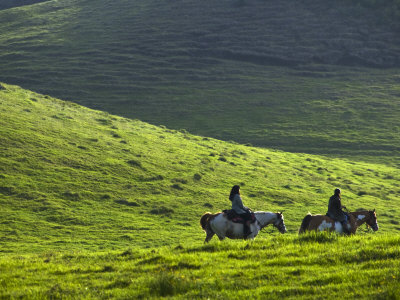 Two Horseback Riders On Parker Ranch In Waimea, Hawaii by Todd Gipstein Pricing Limited Edition Print image