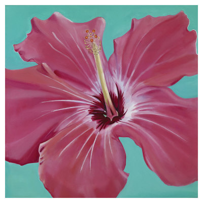 Coral Hibiscus by Roberta Aviram Pricing Limited Edition Print image