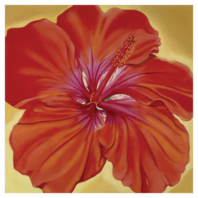 Orange Hibiscus by Roberta Aviram Pricing Limited Edition Print image