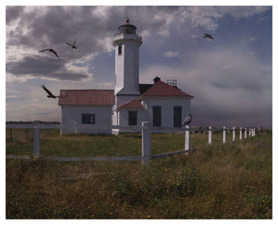 Point Wilson by Steve Hunziker Pricing Limited Edition Print image