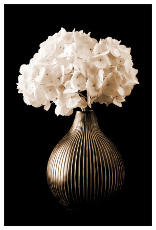 Hydrangeas In A Vase by Christine Zalewski Pricing Limited Edition Print image