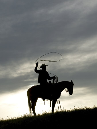 Silhouette Of Cowboy Swinging Lasso by Scott Stulberg Pricing Limited Edition Print image