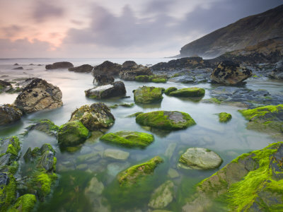 Vibrant Green Algae Exposed At Low Tide At Tregardock Beach, North Cornwall, United Kingdom by Adam Burton Pricing Limited Edition Print image