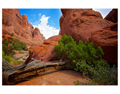 Fiery Furnace by Elizabeth St. Hilaire Nelson Pricing Limited Edition Print image