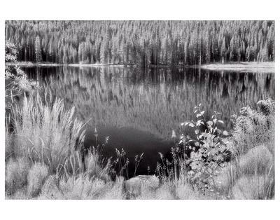 Diemer Lake by Scott Peck Pricing Limited Edition Print image