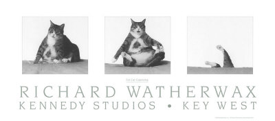 Fat Cat Capsizing by Richard Watherwax Pricing Limited Edition Print image