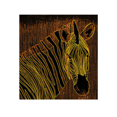 Golden Zebra by Thierry Bisch Pricing Limited Edition Print image