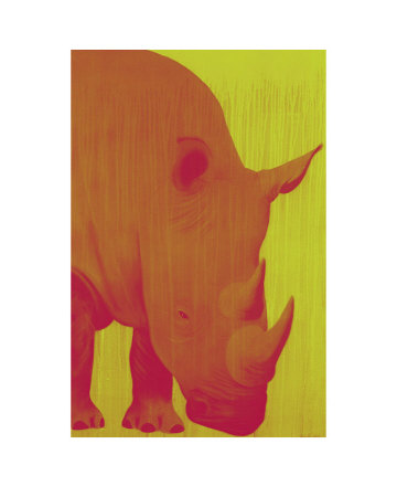 Pop Rhino by Thierry Bisch Pricing Limited Edition Print image