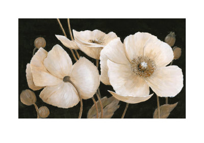 Sepia Poppies by Peter Mcgowan Pricing Limited Edition Print image