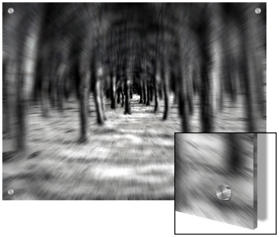Looking Through A Forest, Digital Zoom Effect by I.W. Pricing Limited Edition Print image