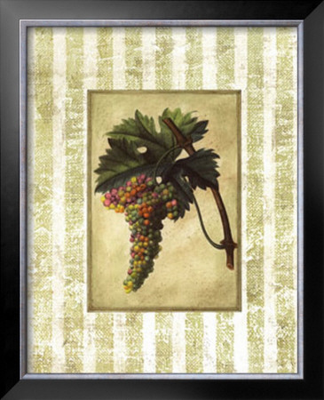 Napa Varietal Ii by Susan Davies Pricing Limited Edition Print image