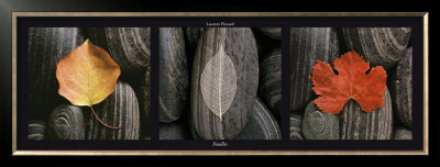 Feuilles by Laurent Pinsard Pricing Limited Edition Print image