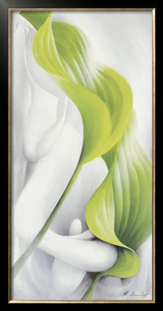 Calla I by Annette Schmucker Pricing Limited Edition Print image