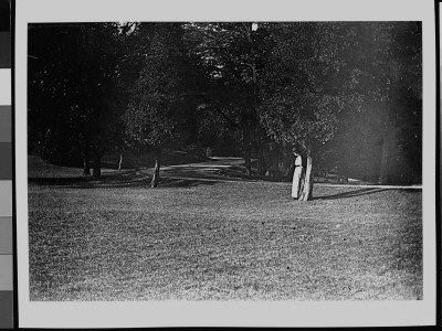 A Well-Dressed Woman Leaning Against A Tree On A Well-Manicured Lawn Next To A Country Road by Wallace G. Levison Pricing Limited Edition Print image