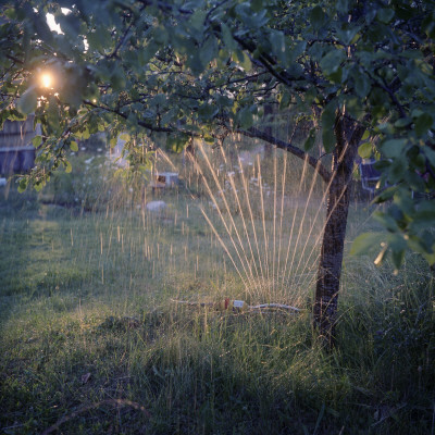 A Sprinkler Under A Tree, Sweden by Mikael Andersson Pricing Limited Edition Print image