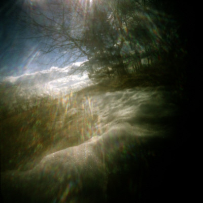 Sunlight Passing Through Trees by Mikael Andersson Pricing Limited Edition Print image