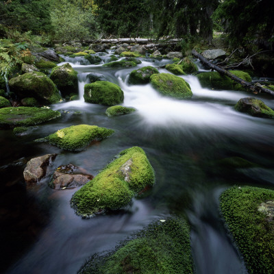 Mossy Stones In A Creek by Lars Dahlstrom Pricing Limited Edition Print image